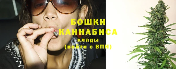 сатива Белоозёрский