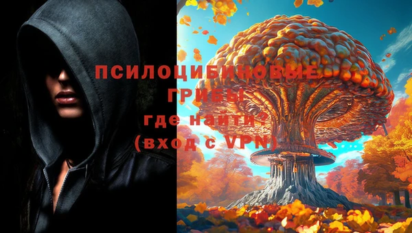 сатива Белоозёрский