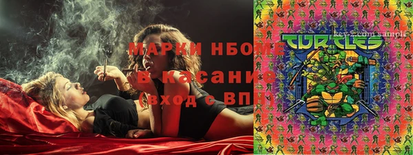 сатива Белоозёрский
