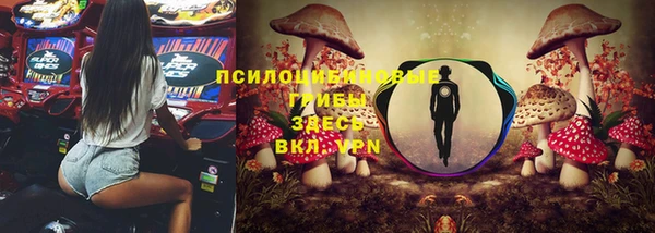 сатива Белоозёрский