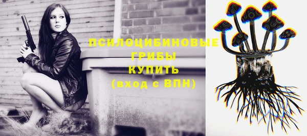скорость Белокуриха