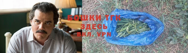 сатива Белоозёрский
