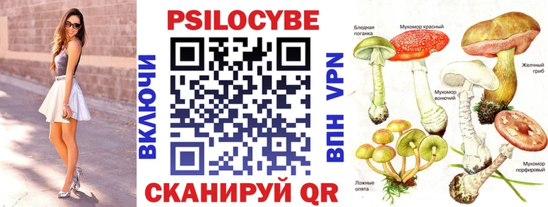 наркота  Няндома  Галлюциногенные грибы Psilocybine cubensis 